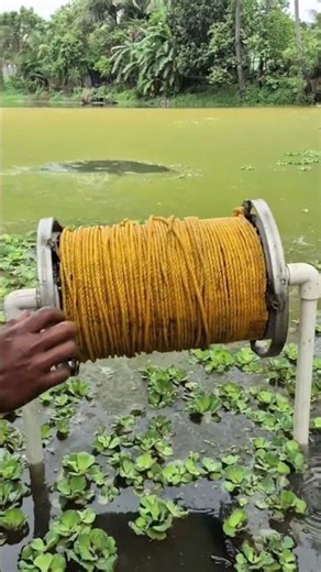 Big Wallago Attu Fish Catching By Using Big Hook & Chicken