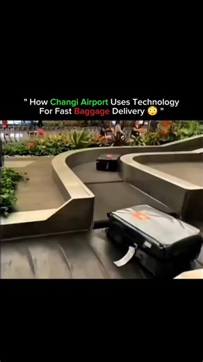 x on Instagram: "Changi Airport in Singapore is known for its fast and reliable baggage handling. With advanced technology and automated systems, luggage is delivered accurately and quickly to passengers.Baggage carousels are placed conveniently in the arrivals area for smooth pickup. Travelers also benefit from amenities like baggage carts, porter assistance, and a helpful Lost and Found service.These thoughtful features make the baggage experience efficient and stress free, adding to Changi Ai