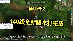 仙境传说ro国服：140级萌新 全新版本打蛇皮