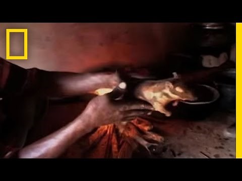 Dead Rat for Dinner | National Geographic