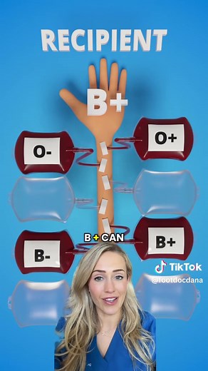 Blood Types Explained: Which One Are You?