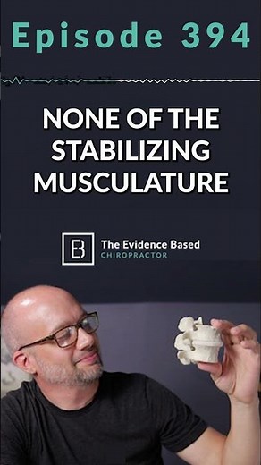 The Importance of the Multifidus Muscle for Back Pain