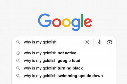 20 Funny Google Searches for When You’re Looking for Laughs