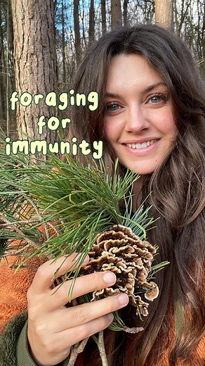 Fern Freud 🌿 on Instagram: "✨ WILD IMMUNITY BOOSTERS ✨ Hooray for healing herbs! 🌱 I get asked ALL the time how to utilise the medicinal herbs and mushrooms that we can foraged So, here are two of my favourite ways of using the medicine mother nature provides. There’s a LOT to say on this topic and we’re very limited to a one minute video so please do use the comments section to ask any questions you might have! 🥰 First up, we’re using turkey tail mushrooms, dandelion roots and pine needles. 