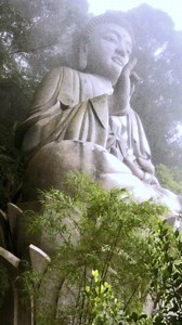 Exploring the Tranquility of Buddhist Temples in Nature