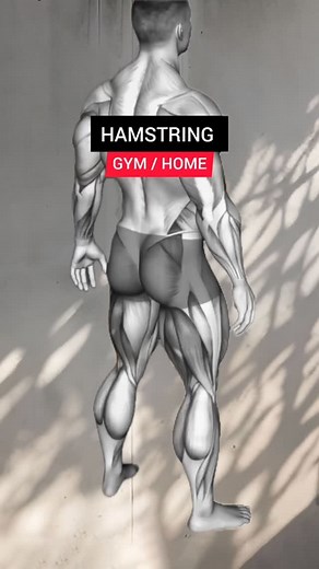 3.6K views · 2.3K reactions | Hamstring exercises at home & gym | Azra Fitness | Facebook