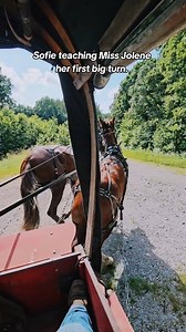 Jolene's first time pulling the wagon didn't go too bad. You can prep all you want sometimes the wagon keeps one tore up the first few times hooked. We thought she handled the exciting moments very well. Calmed right back down and settled back into working. Miss Sofie has also came a long way. She's had big shoes to fill stepping into our lead mule position. She done a fine job holding Jolene in check while not getting tore up herself. #goodmules #mulecountry #mulesrule #mulegirl #muleskinner #l