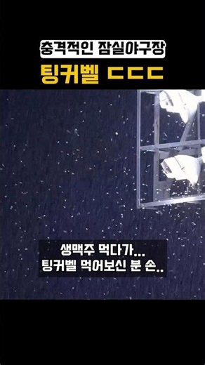 잠실야구장 팅커벨의 역습ㄷㄷ