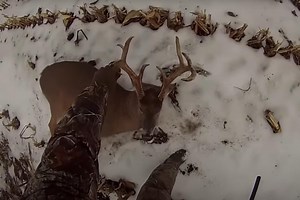 Hunter Makes Perfect Shot on Running Buck