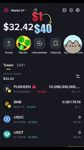 🚀 A 100x return is possible with this #memecoin called #pusheen on #bnb 🤑