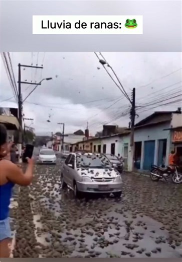 Lluvias Extrañas: Animales Caen del Cielo