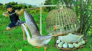 83K views · 1.2K reactions | Top one Survival in the rainforest- Dig wild potatoes lucky met goose catch goose & egg -Eating delicious | Top One | Facebook
