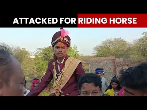 Not The First Time A Dalit Groom Beaten For Riding Horse | Newsmo