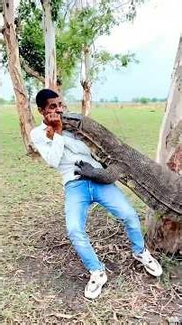 😨 Terrifying Monitor Lizard Encounter Caught on Camera! #shorts