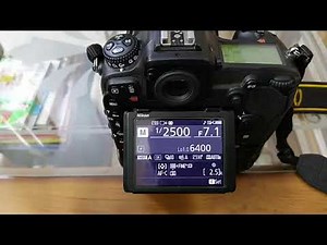 bird in flight camera settings Nikon D500 tips and tricks for bird in flight settings for beginners