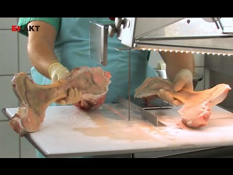 EXAKT 312 Pathology Saw - Bone Saw