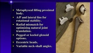 Total Shoulder Circa 2010