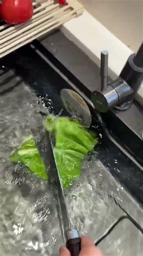 Sharpness Test: Not AI-generated, every single one is genuinely this sharp.