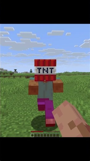 Insane Minecraft Commands 🤫