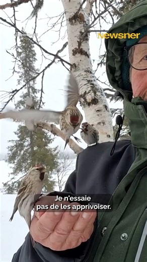 315K views · 10K reactions | Elle a rencontré de nombreux animaux sauvages, mais l'un d'entre eux tient une place particulière dans son cœur 殺️❤️ | Newsner Français | Facebook