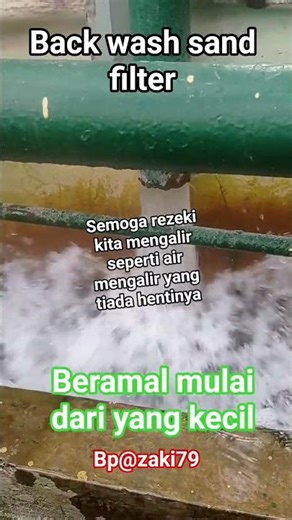 Back wash sand filter