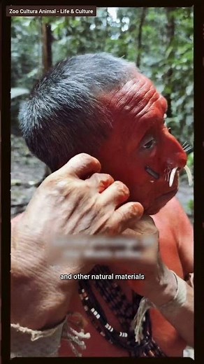 Inside the Matis Tribe of the Amazon