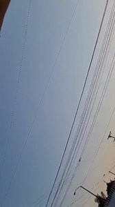 Action on the south side. Palomares and Grand. | Pomona Patch