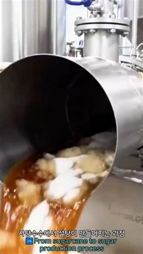 From sugarcane to sugar production process