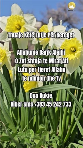 Thuaje Këtë Lutje Për Bereqet