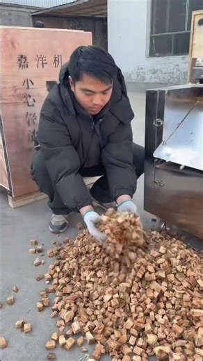 Coconut shell cutting machine