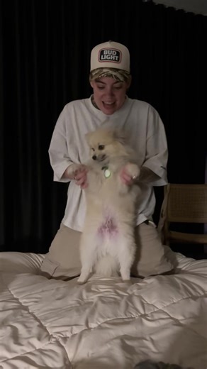 Ma première partie 🐕