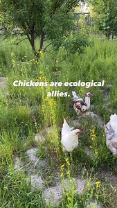 49 reactions · 10 comments | 復Food Waste復 . American homes contribute...