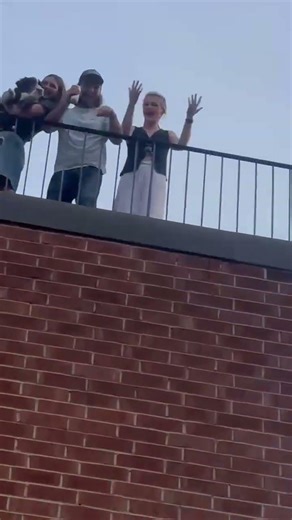 #music #doggo #livemusic #whoisthecoux