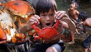 20K views · 13 shares | Primitive - Catch and cooking big crab | Daily Cooking | Facebook