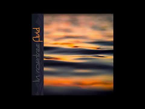 FLUID - Lin Rountree Single