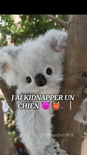 Dites-le moi en comm