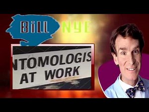 Bill Nye the Science Guy 0211 Insects
