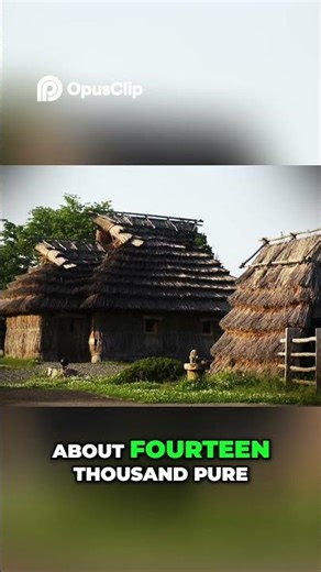 Ainu: The Indigenous People of Japan's Forgotten History