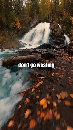 michael sanzone - going going gone #music #michaelsanzone #forest #americana #edit