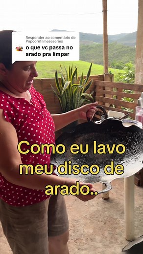 Como limpar disco de arado: dicas eficientes para manter seu utensílio brilhando