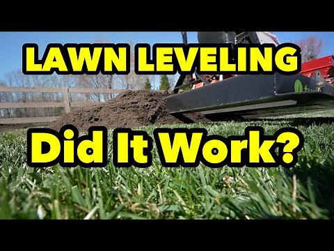 Tall Fescue Lawn Leveling Results