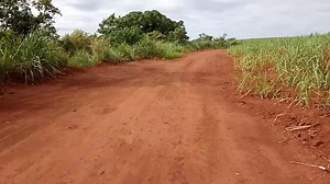 49 reactions | Trilha curta antes do trabalho, sextouuuuuuu Bairros Ibiúna, Limeira e Yara e Jacutinga #TrilhaBike #MtbRaíz #TáxiCléverson Whats 991405151 #SomLoçuçãoCleversonRodrigues #KogaBike Whats 996759148 #SabaineVeículos Whats 999293602 #HidrogelChauMix Whats 998144357 #BoraPedala | Cléverson Rodrigues Rádio | Facebook