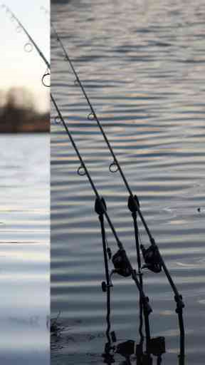 Level Up Your Fishing Game Expert Bait Tips & Style Breakdown!