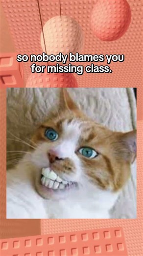 If I was your Alarm Clock 😎