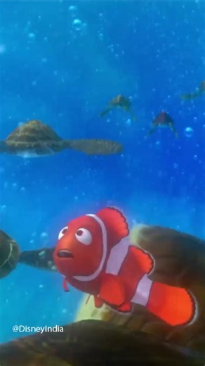 16K views · 263 reactions | Nemo had it easier in the open ocean than I do in my friend’s car #FindingNemo #Disney #DisneyIndia | Disney India | Facebook