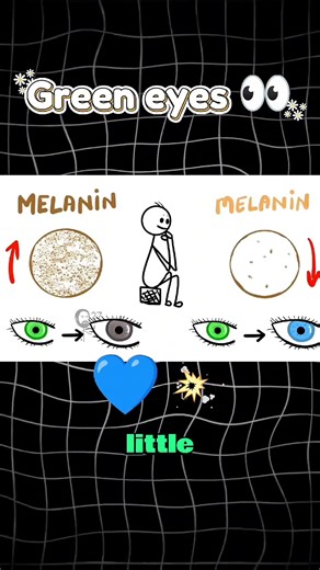 Hidden Advantages of Your Eye Color #eyecolor #eyeanalysis #originstories #science #education