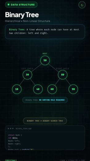Binary Tree Visualized 🌳 | Understanding Nodes & Branches