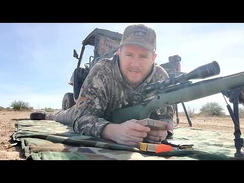 Ruger American 223 - You Need a GUN like this