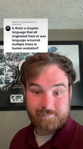 2K views · 31 reactions | The original language? #language #linguistics | Lite Linguistics | Facebook