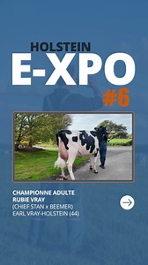⏰ L'heure de la finale de l'E-xpo #6 a sonné ! Découvrez les 6 vaches finalistes et votez pour élire la Grande Championne ! 📩 Votes ouverts aux adhérents de l’association 1 vote pour votre animal favori ➡️ 1 vote pour votre animal favori ❤️🐄 🗓️ Vous avez jusqu'à lundi matin pour participer ! Rendez-vous sur notre site ⬇️ www.primholstein.com | Prim'Holstein France